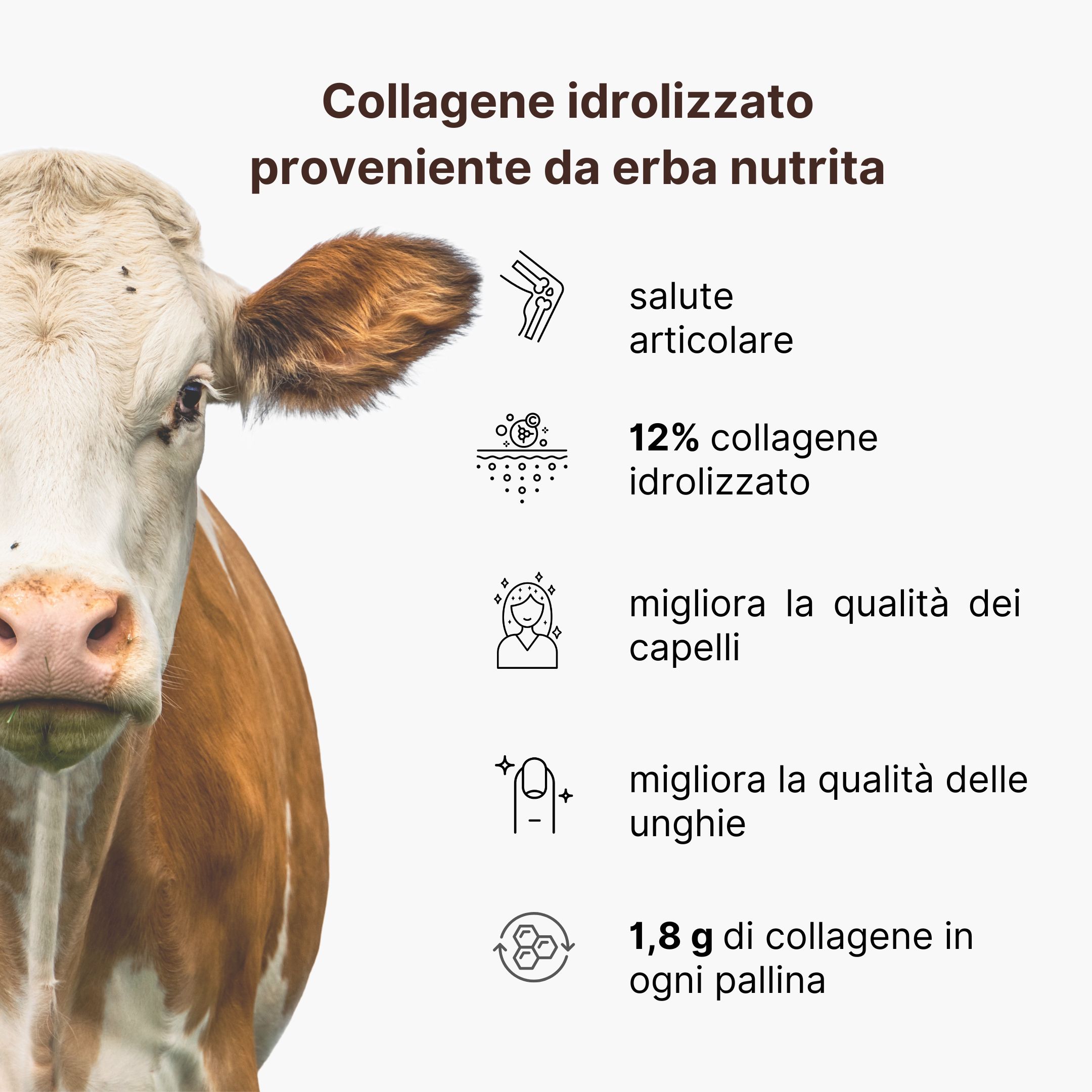(Italština) (10) (kopie)